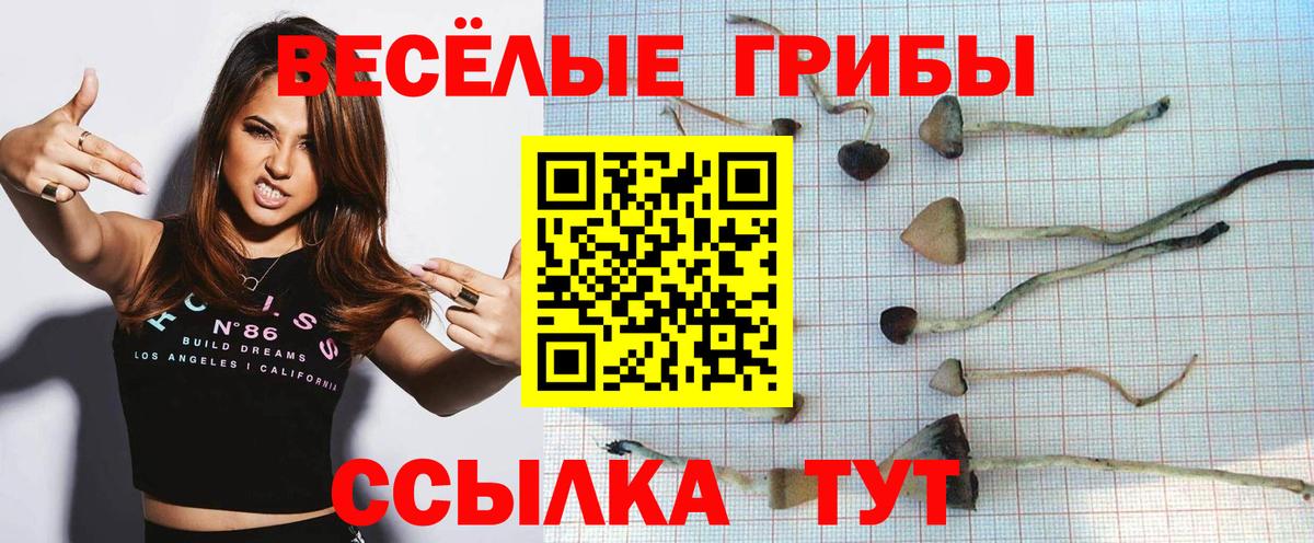 Псилоцибиновые грибы Magic Shrooms  Вход с VPN  Улан-Удэ 